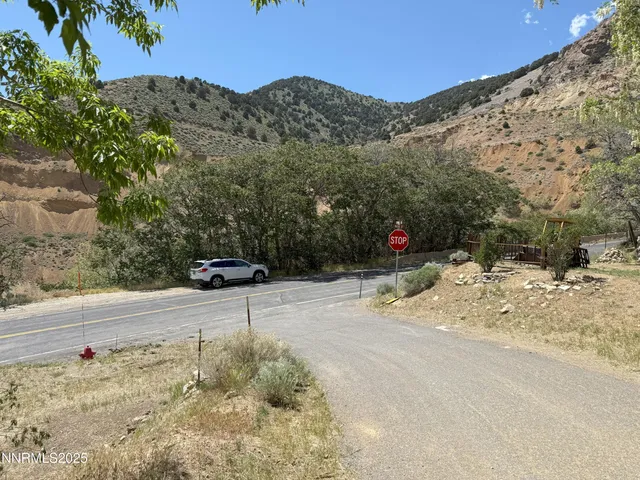 a view of a dry yard with trees