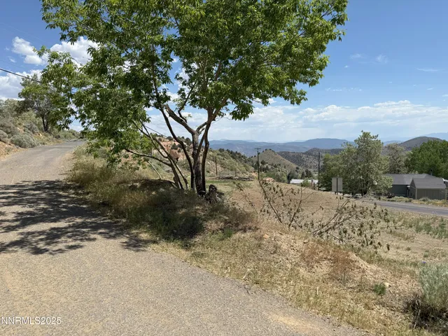 a view of a yard and road