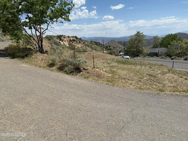 a view of a roadside with trees