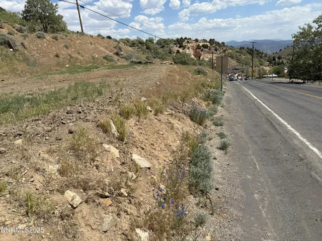 a view of a dry field with trees in the background