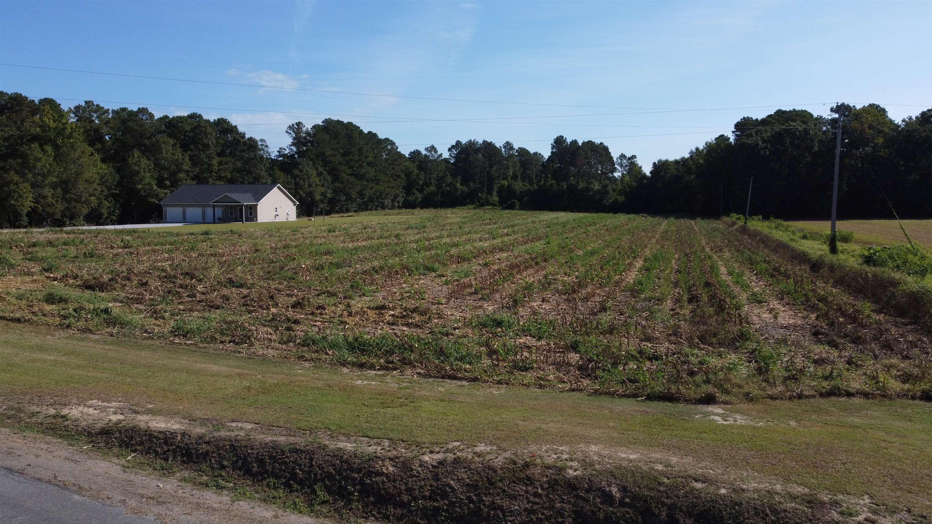 Lot 1 Mar Cap Road Galivants Ferry, SC 29544 - Photo 4 of 7 Gallery Image 4