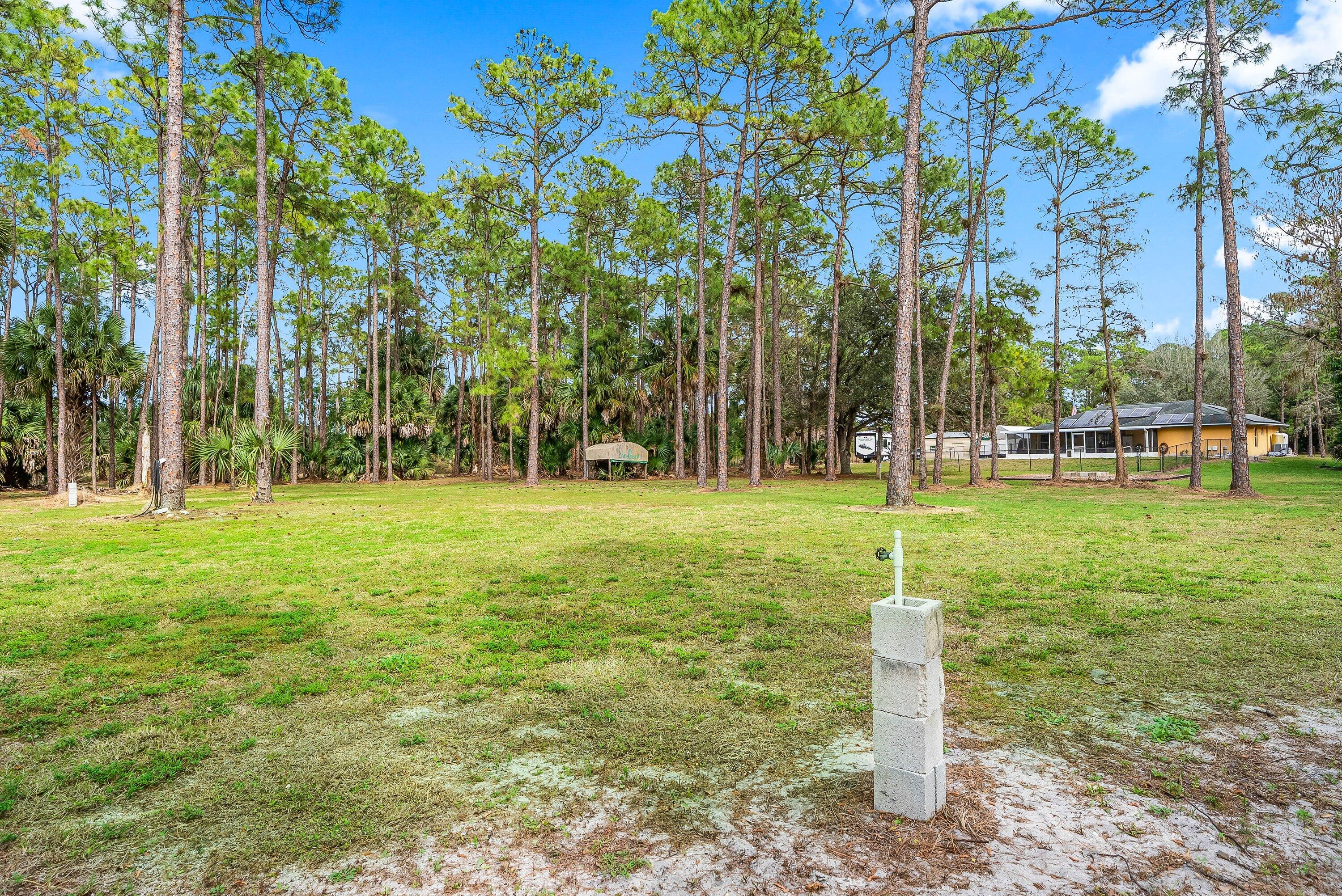 2195 F Road Loxahatchee Groves, FL 33470 - Photo 30 of 54 a tall tree with table and chairs