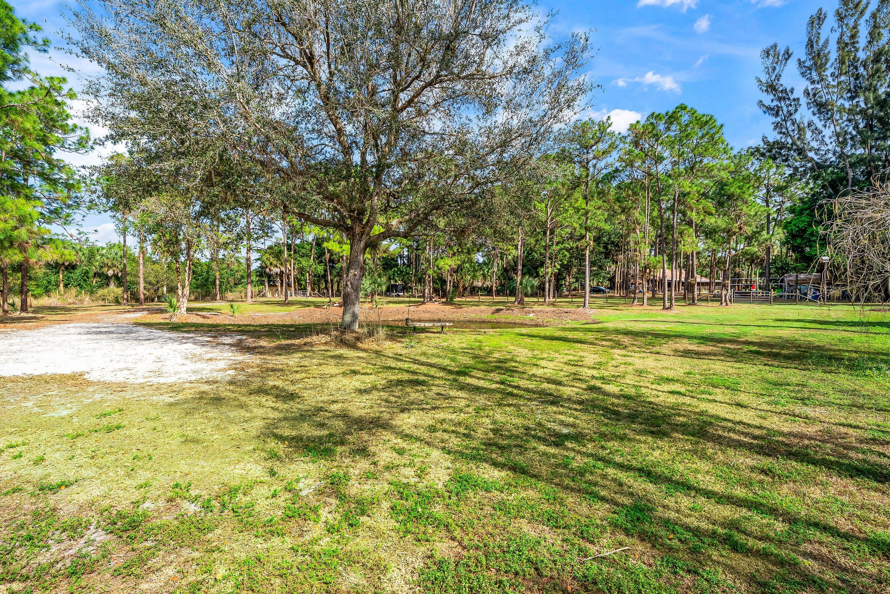 2195 F Road Loxahatchee Groves, FL 33470 - Photo 4 of 54 a view of a space with garden and trees