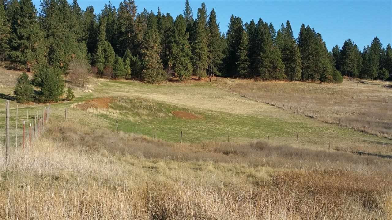 5919 East Valley Springs Road Spokane, WA 99217 - Photo 2 of 6