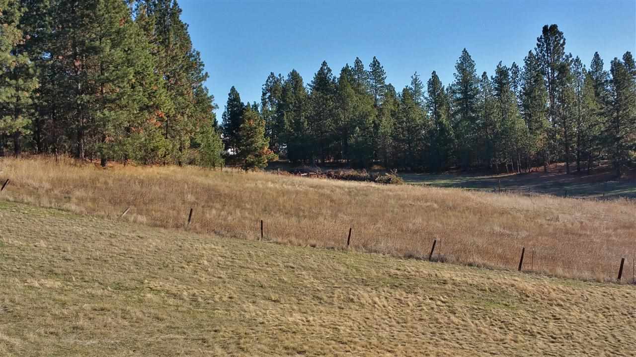 5919 East Valley Springs Road Spokane, WA 99217 - Photo 3 of 6