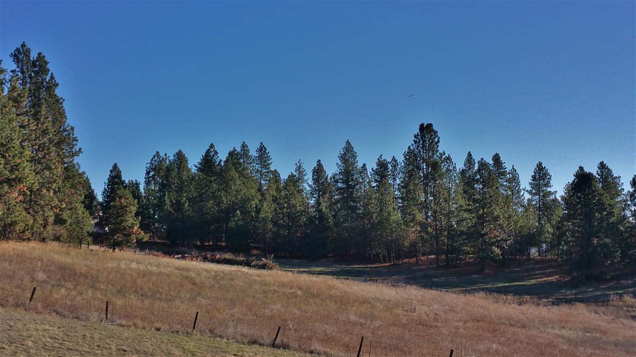 5919 East Valley Springs Road Spokane, WA 99217 - Photo 5 of 6