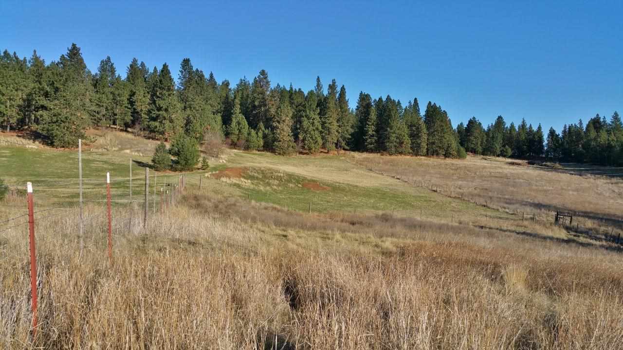 5919 East Valley Springs Road Spokane, WA 99217 - Photo 6 of 6