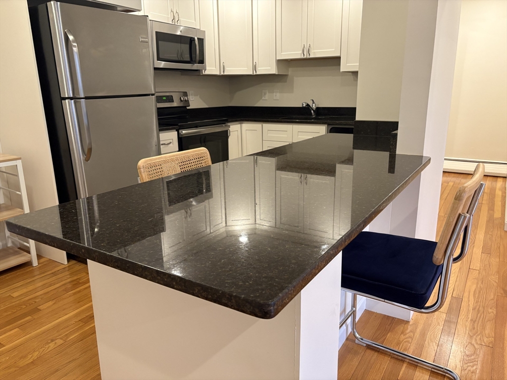 8 Riverside Street, Unit 12 Watertown, MA 02472 - Photo 3 of 15