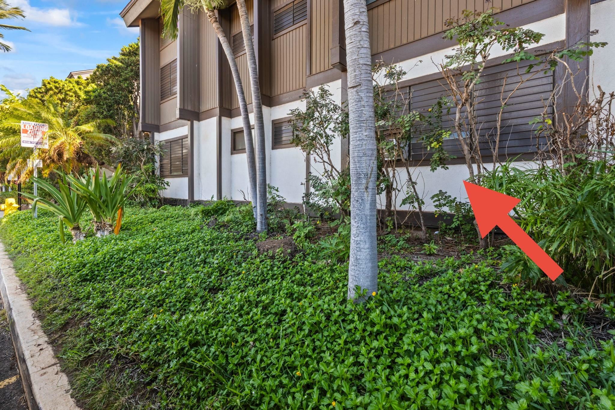 777 South Kihei Road, Unit 105 Kihei, HI 96753 - Photo 18 of 27 an aerial view of residential house with outdoor space and trees in the background