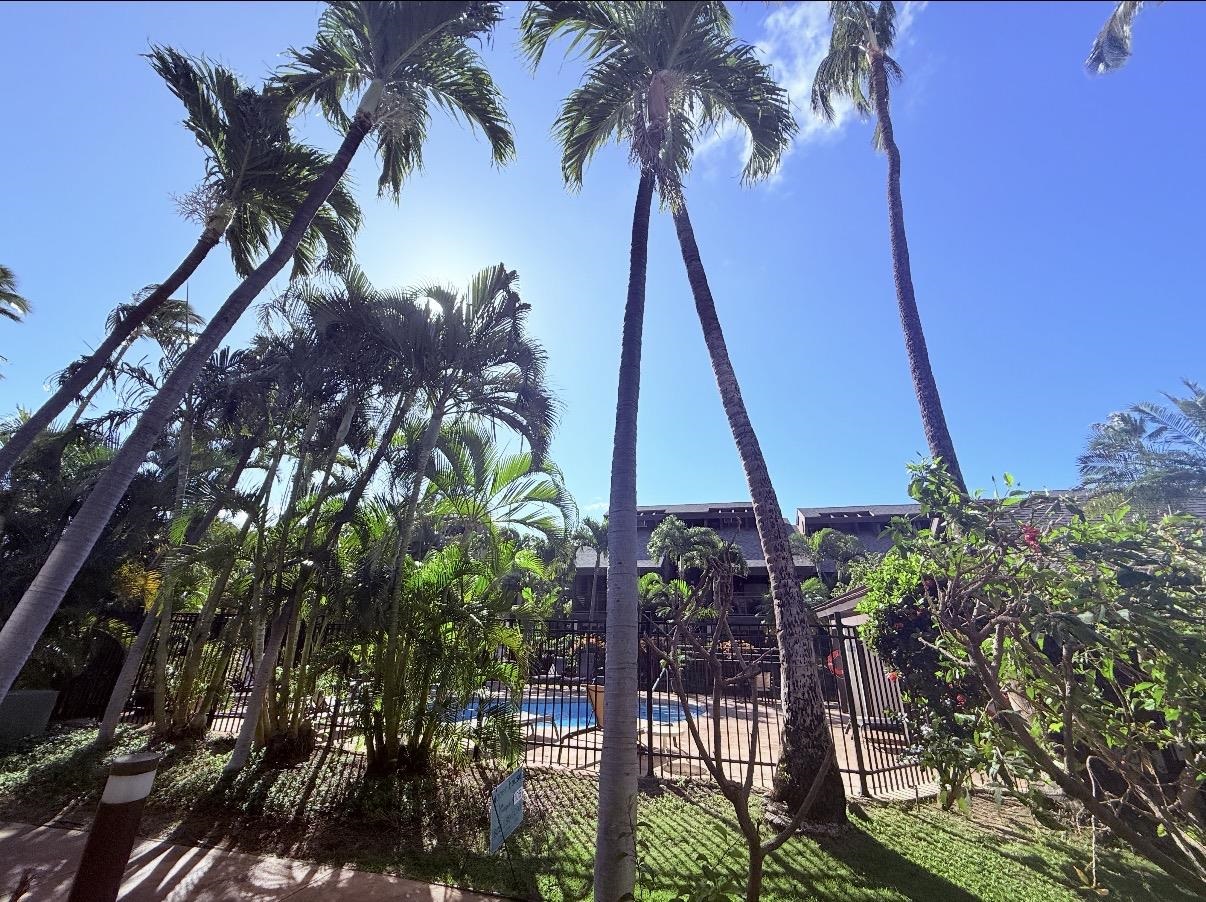 777 South Kihei Road, Unit 105 Kihei, HI 96753 - Photo 8 of 27 a view of outdoor space and yard