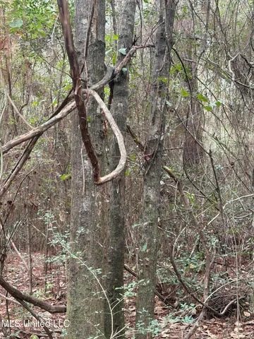 $120,000 | 0 Lorraine Road, Biloxi, MS 39532