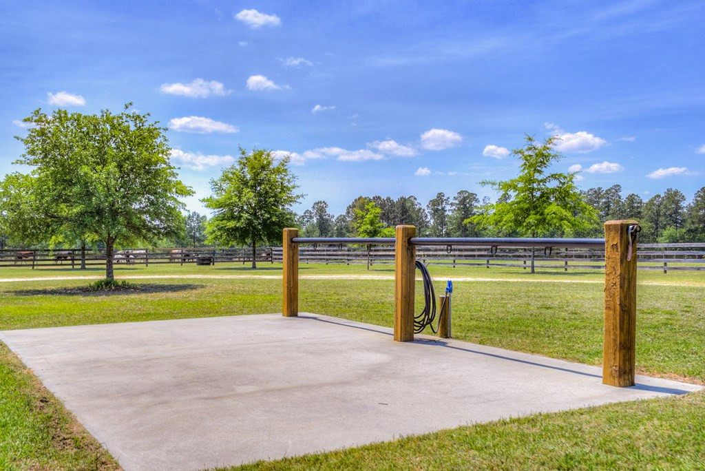 490 Big Tree Road Salley, SC 29137 - Photo 39 of 68