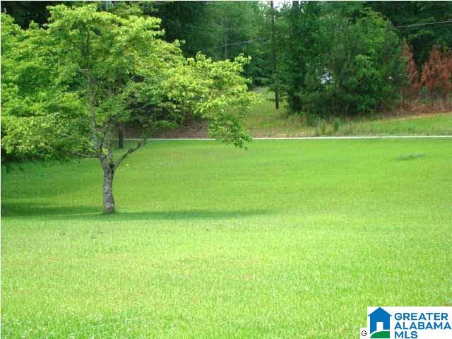 1832 Alexandria Road Alexandria, AL 36250 - Photo 25 of 26