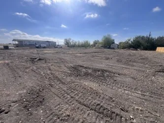 a view of a dry yard with trees