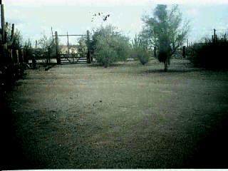 4981 North Lak A Yucca Road Tucson, AZ 85743 - Photo 5 of 6