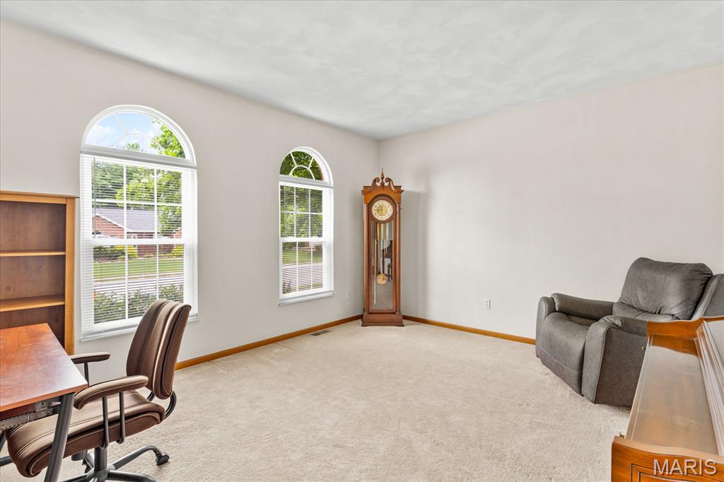 616 Dustin Lane O'Fallon, IL 62269 - Photo 12 of 48