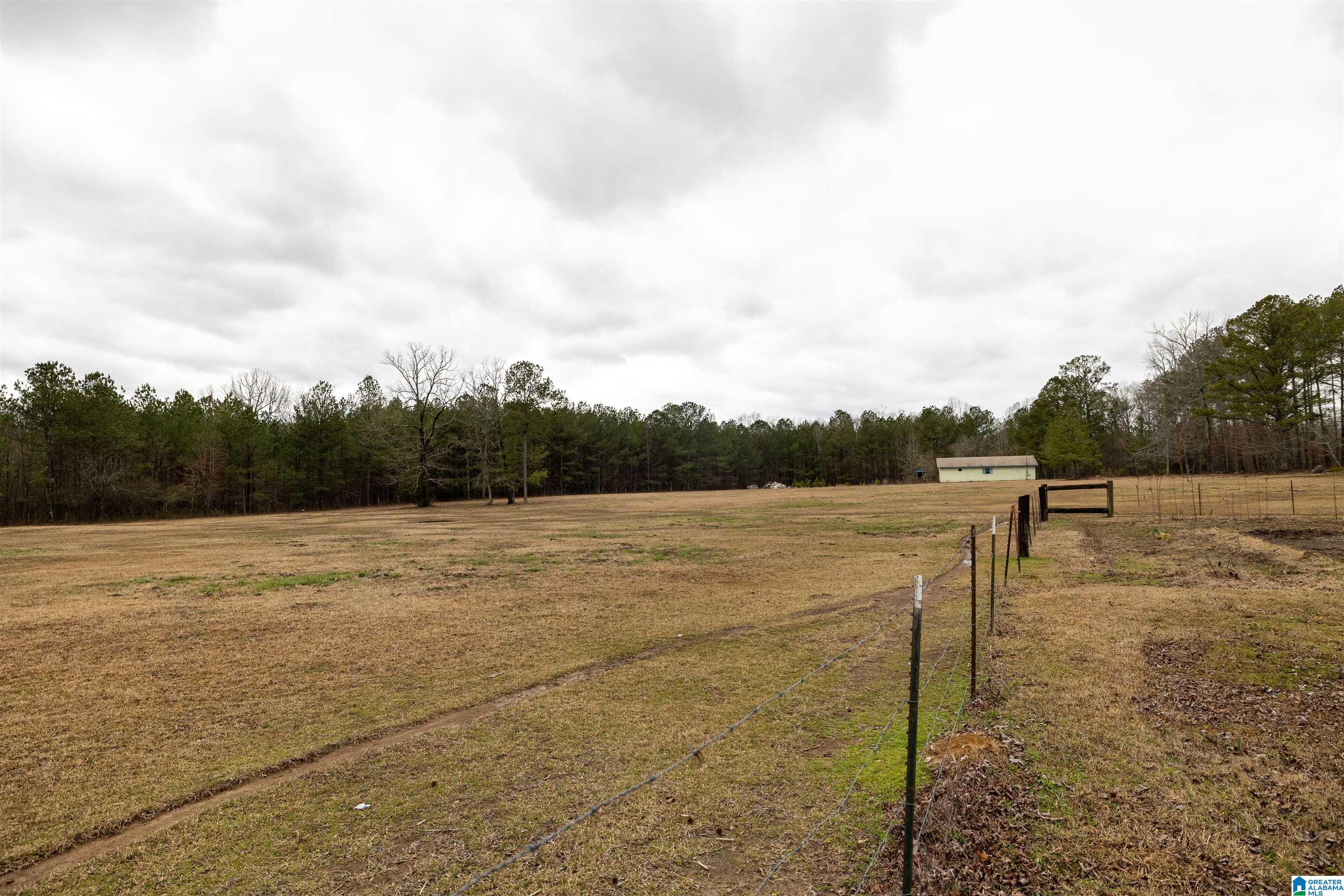1016 Wesson Lake Road Attalla, AL 35954 - Photo 35 of 38 Gallery Image 35