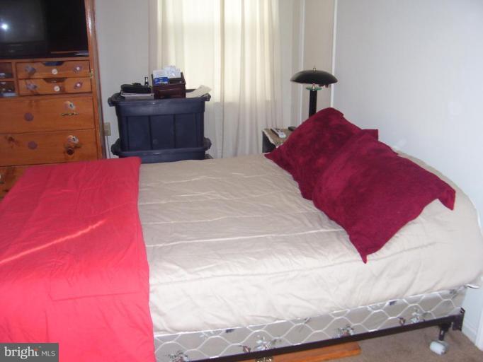 649 Kimble Road Berryville, VA 22611 - Photo 18 of 21 a bedroom with a bed and a potted plant