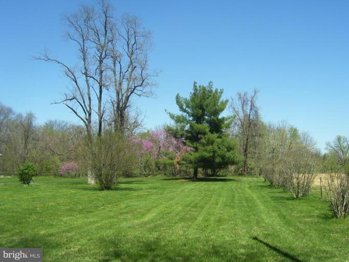 649 Kimble Road Berryville, VA 22611 - Photo 5 of 21 a backyard of a house with lots of green space