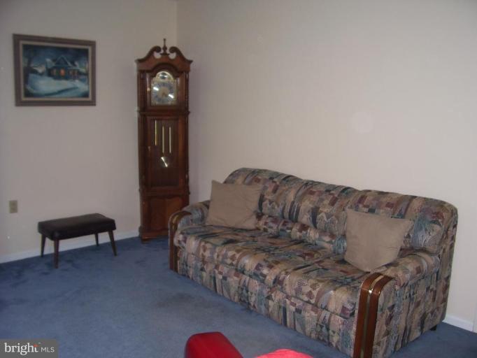 649 Kimble Road Berryville, VA 22611 - Photo 7 of 21 a living room with furniture and a lamp