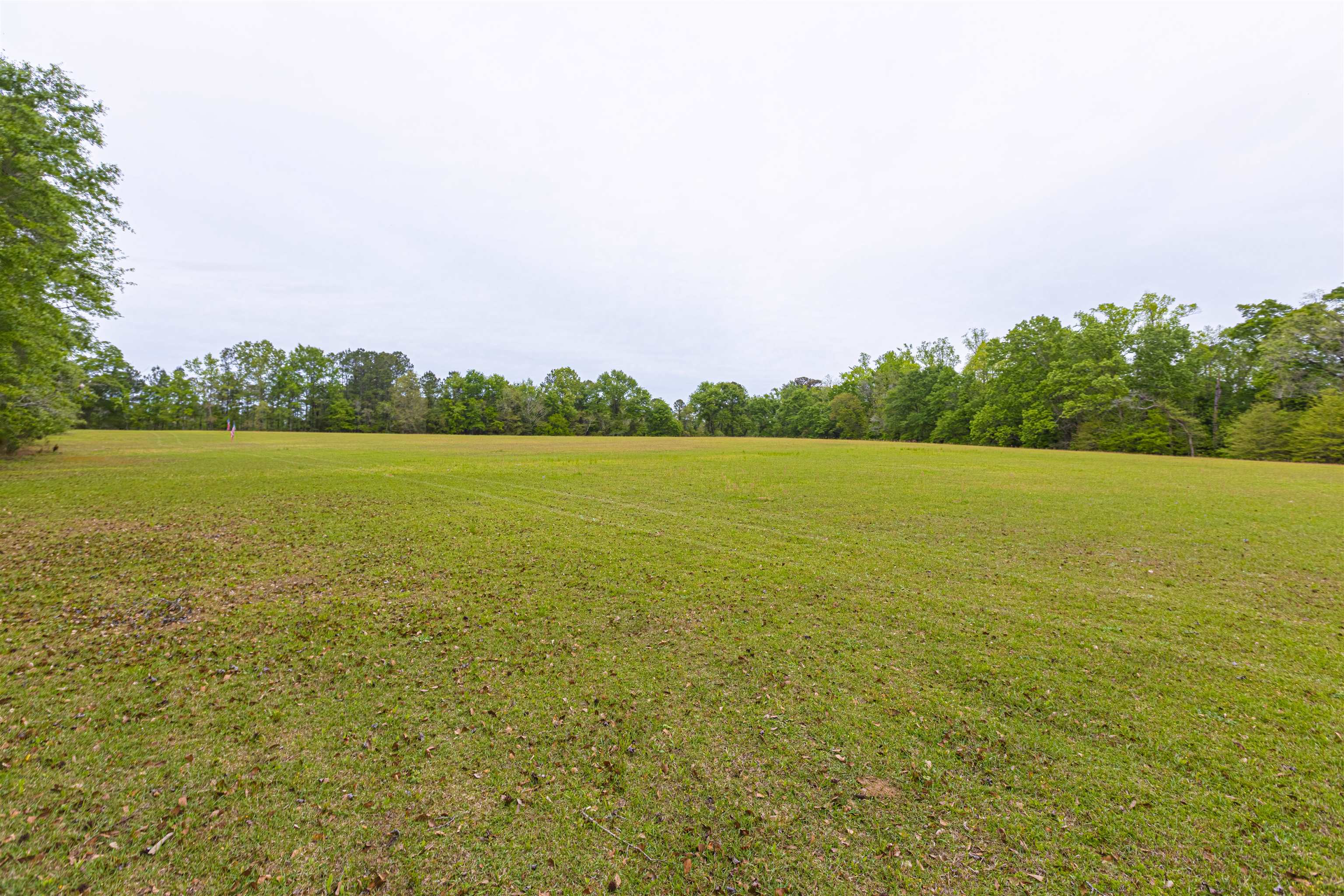 8946 Highmarket Street Georgetown, SC 29440 - Photo 44 of 70