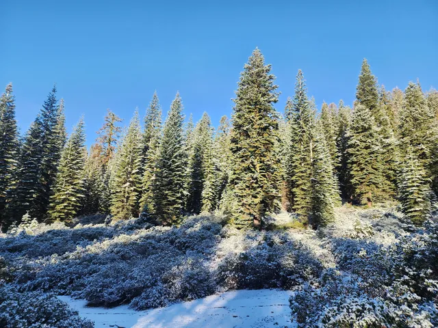 a view of a lake with a mountain in the background