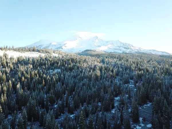 a view of outside house with a yard