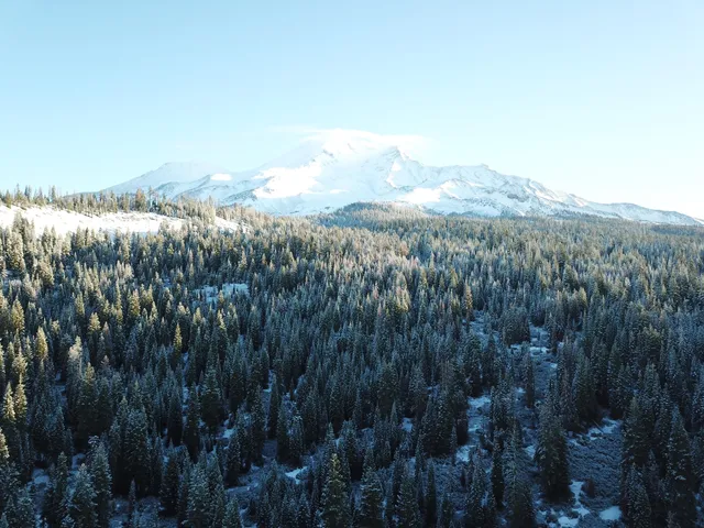 a view of outside house with a yard