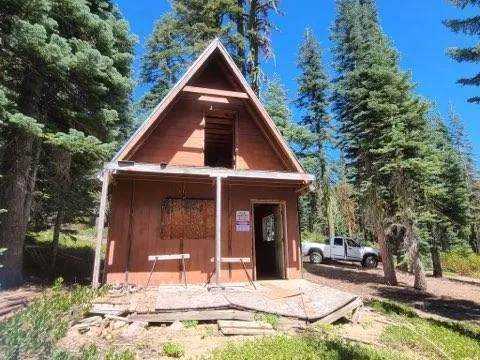 a view of a backyard with large trees
