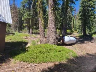 a view of a yard with trees in front of it