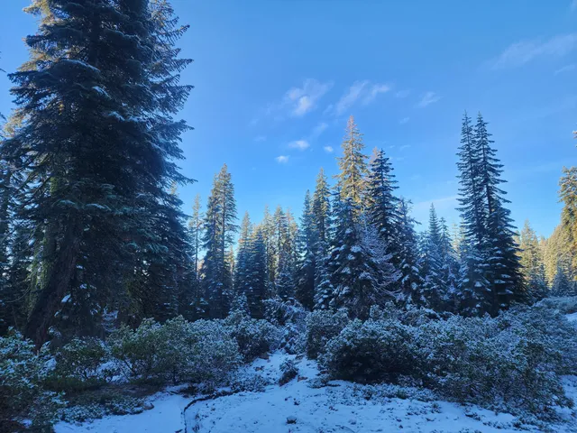 a view of a building