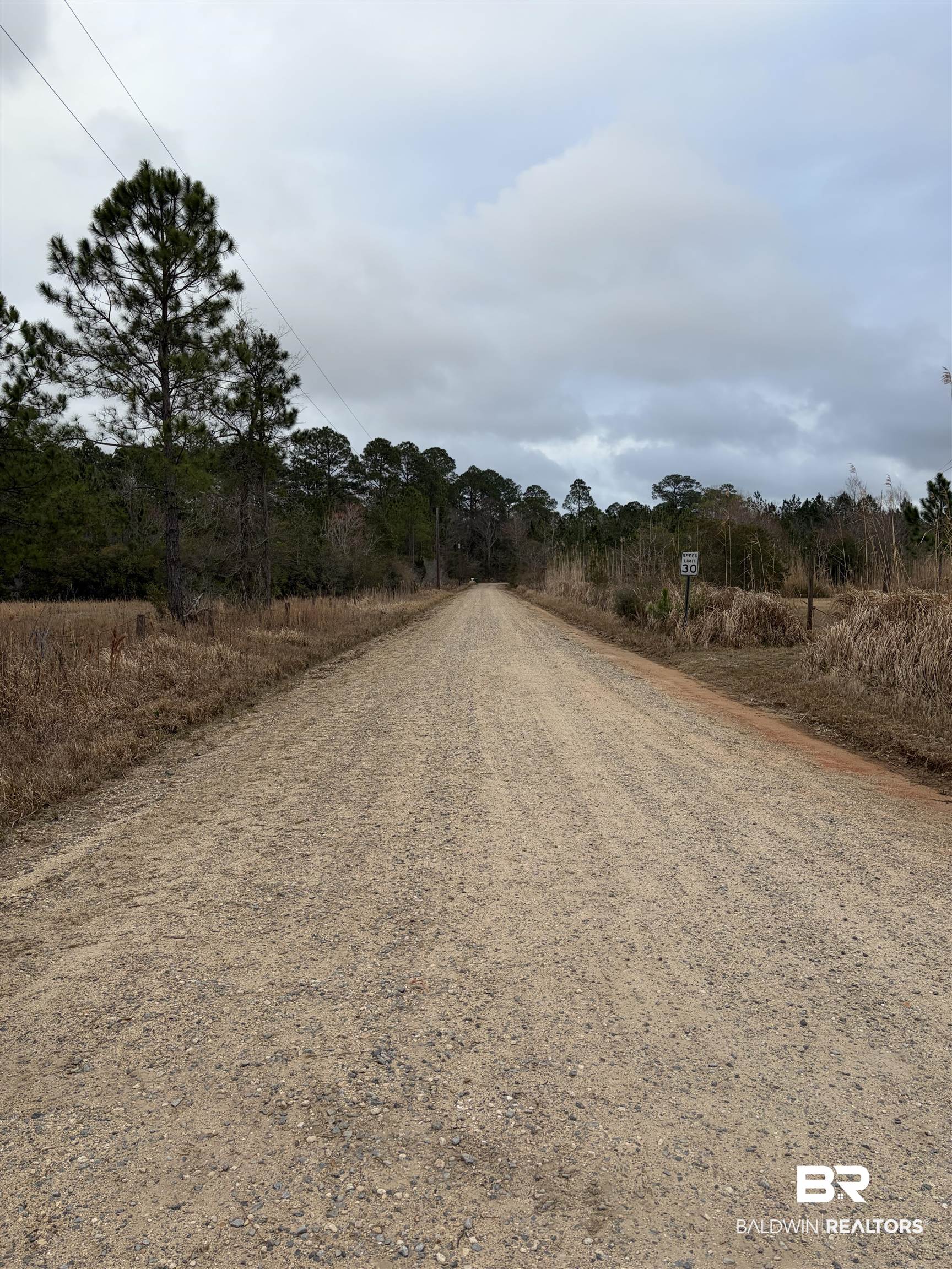 10585 Bellingrath Road Theodore, AL 36582 - Photo 10 of 14 View of dirt / gravel road