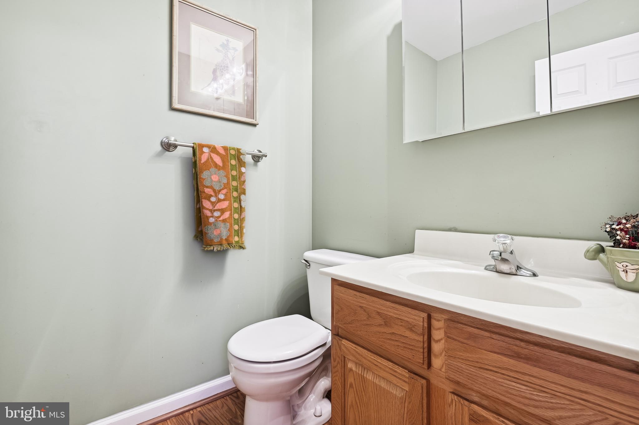 175 Hopewell Road Rising Sun, MD 21911 - Photo 26 of 32 Main level powder room