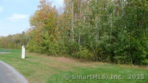 603 Hall Hill Road Somers, CT 06071 - Photo 3 of 3 a view of a lush green space