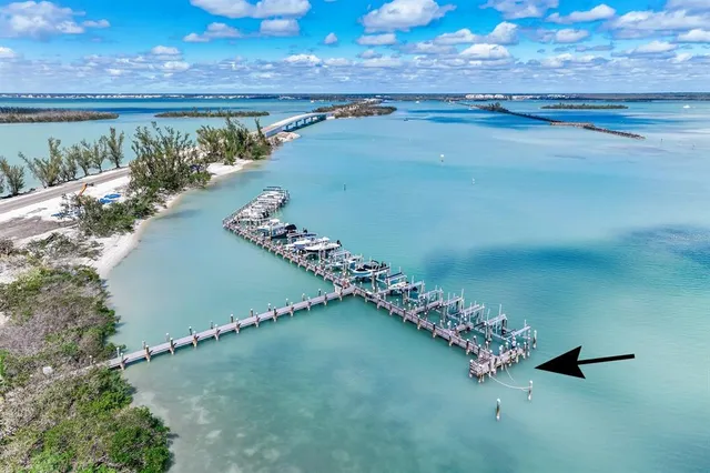 a view of a garden with an outdoor space