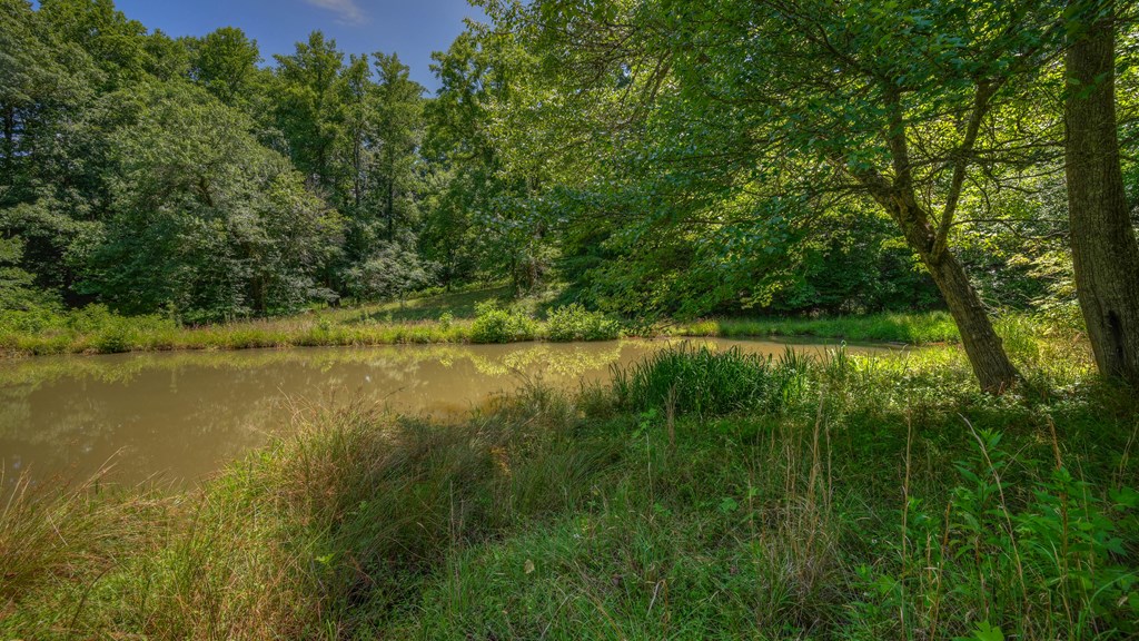 0 Crowe Road Murphy, NC 28906 - Photo 17 of 52 Gallery Image 17