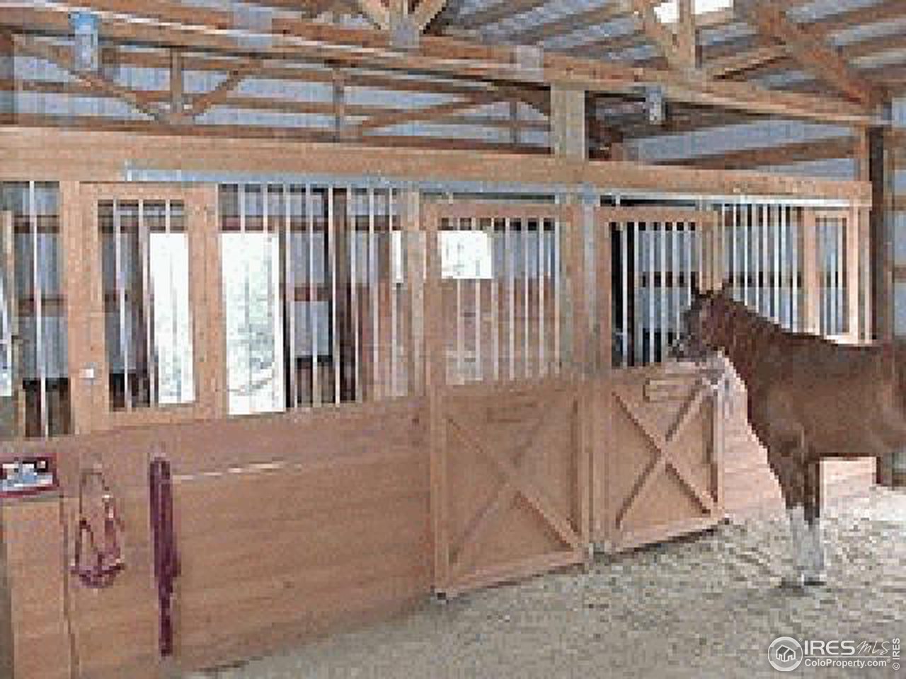 705 Mt Harvard Road Livermore, CO 80536 - Photo 9 of 9 Stable