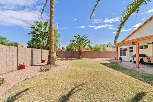 a view of a backyard