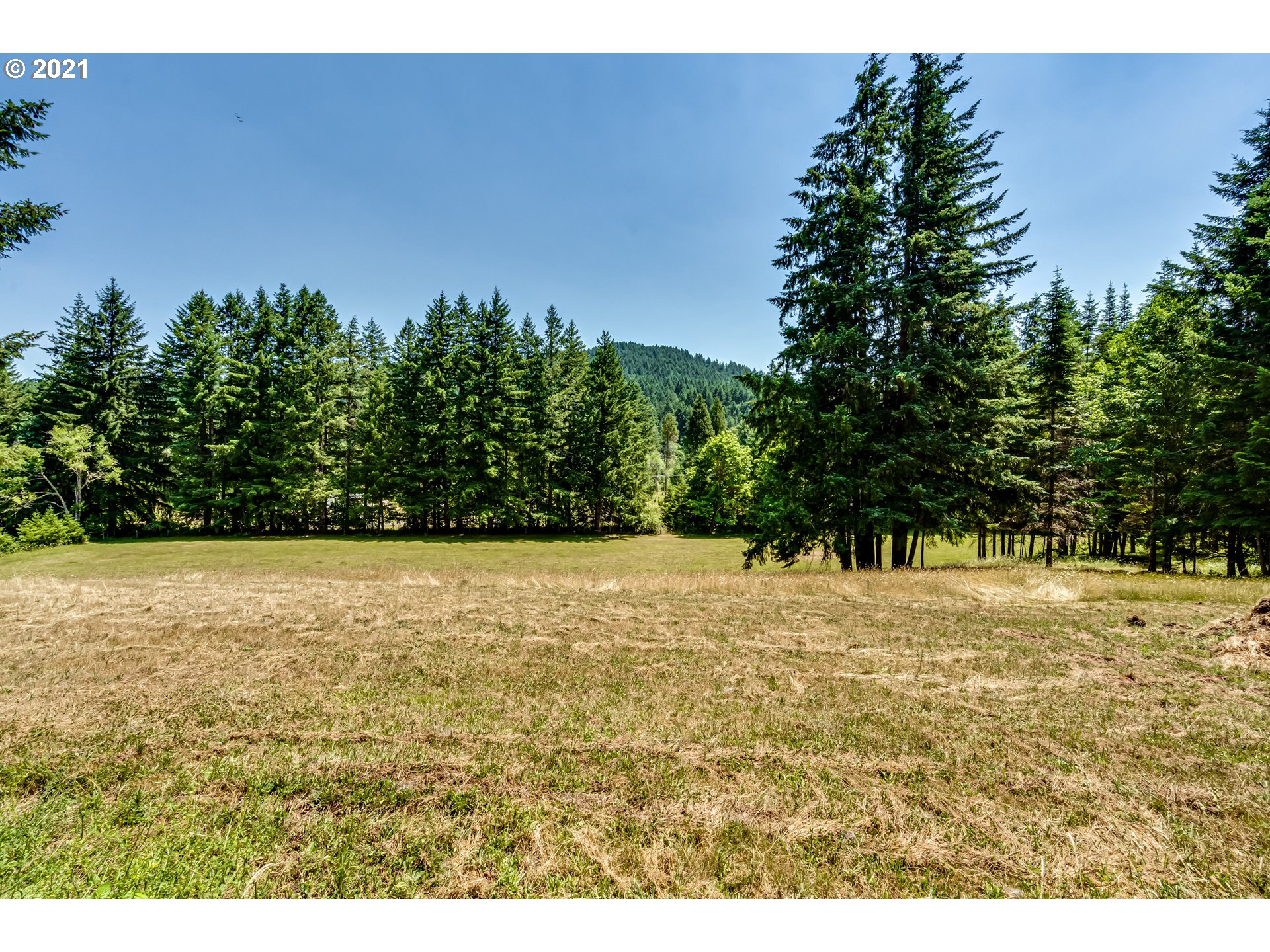 34370 Allen Road Cottage Grove, OR 97424 - Photo 28 of 32 Gallery Image 28