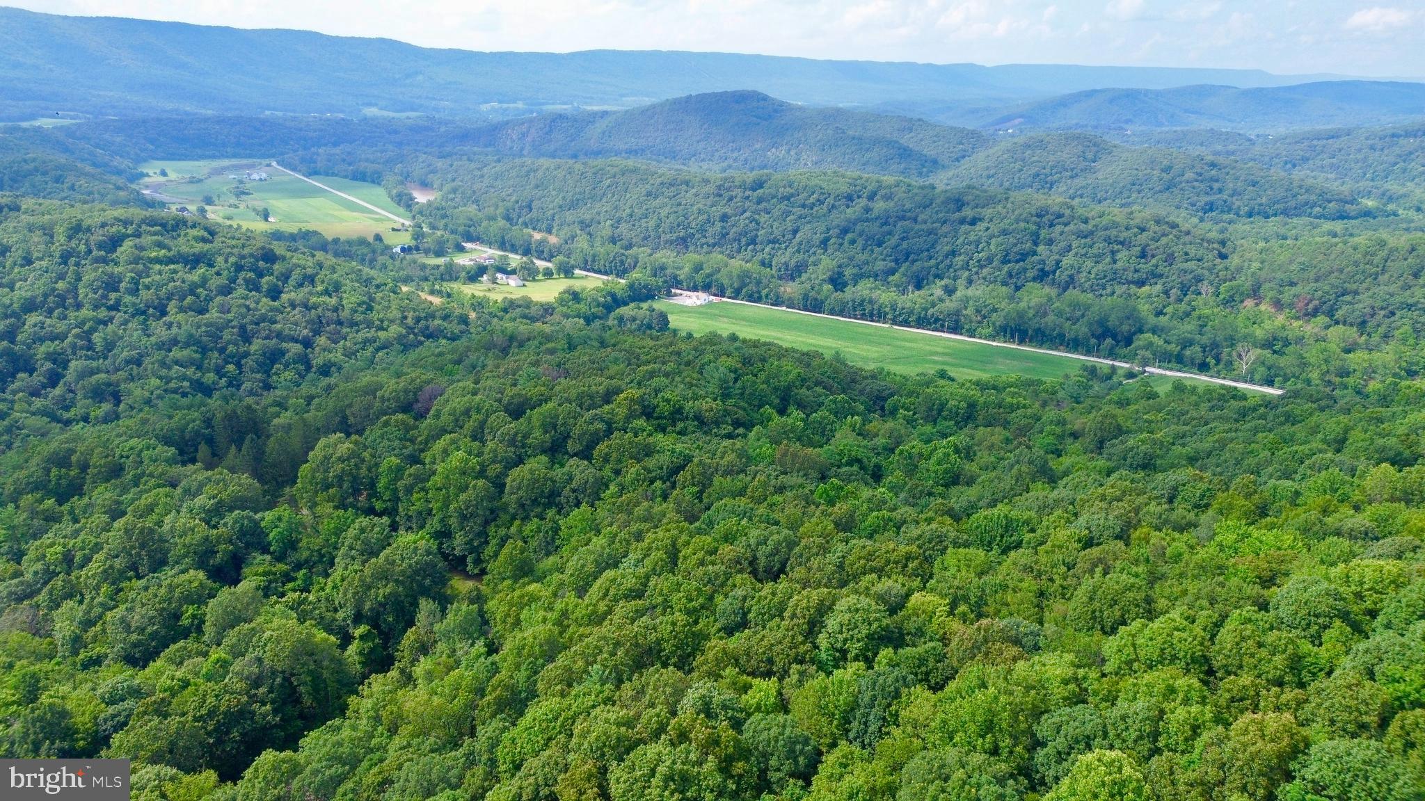 0 Brumbaugh Cemetary Road Saxton, PA 16678 - Photo 1 of 13 a view of an lush green mountain