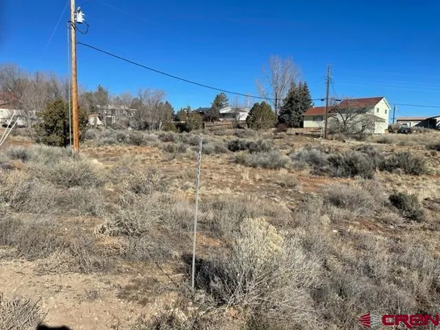 a view of a dry yard with trees