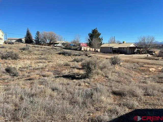 a street view with large trees