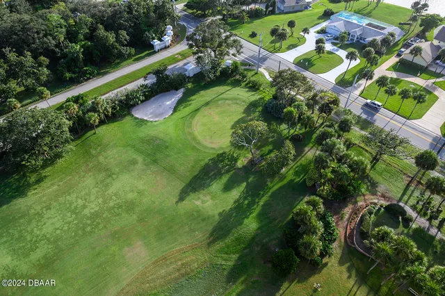 a lush green forest with lots of trees