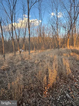$300,000 | 261 Hicks Drive, Petersburg, WV 26847