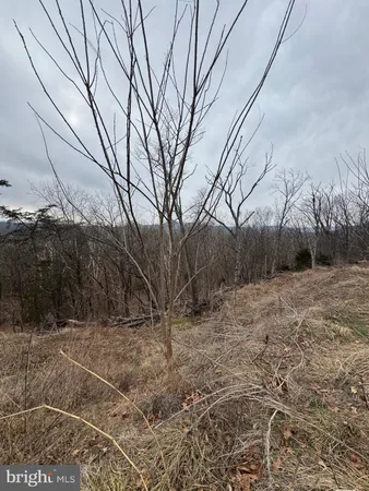 $300,000 | 261 Hicks Drive, Petersburg, WV 26847