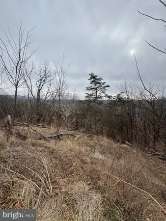 $300,000 | 261 Hicks Drive, Petersburg, WV 26847