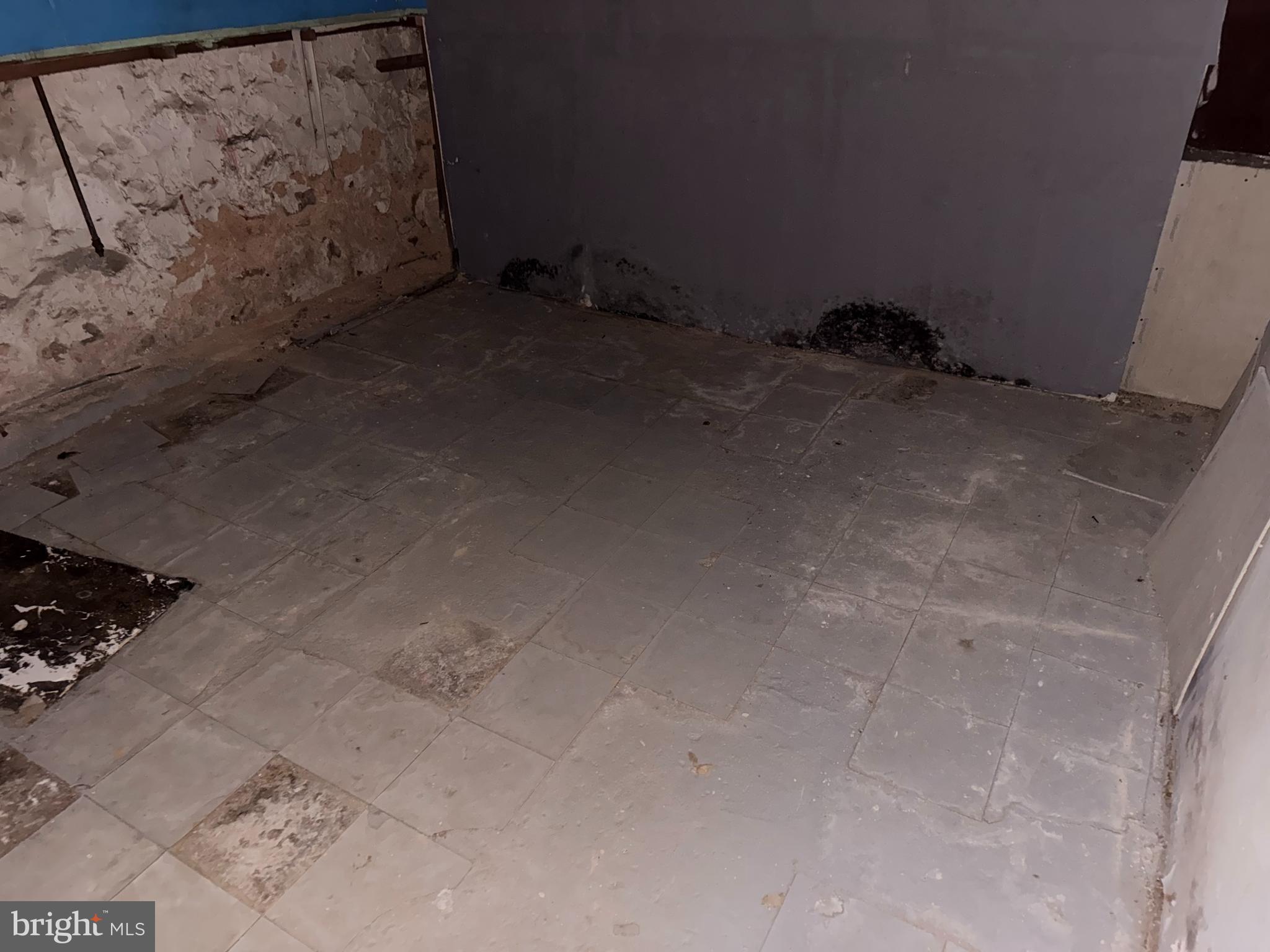 5313 Hamlin Avenue Baltimore, MD 21215 - Photo 14 of 14 a view of basement