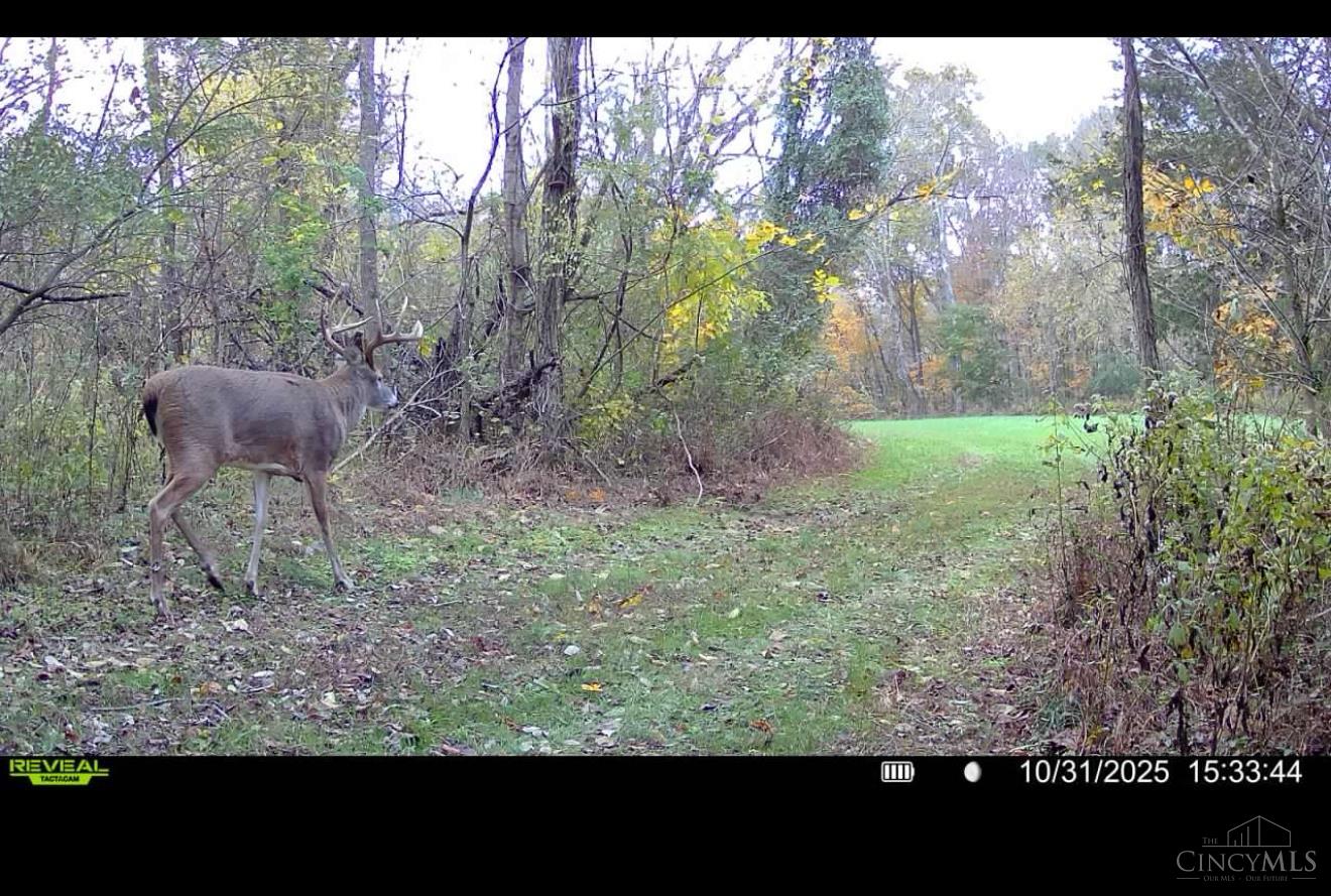4051 State Rte 41 Manchester, OH 45144 - Photo 24 of 42