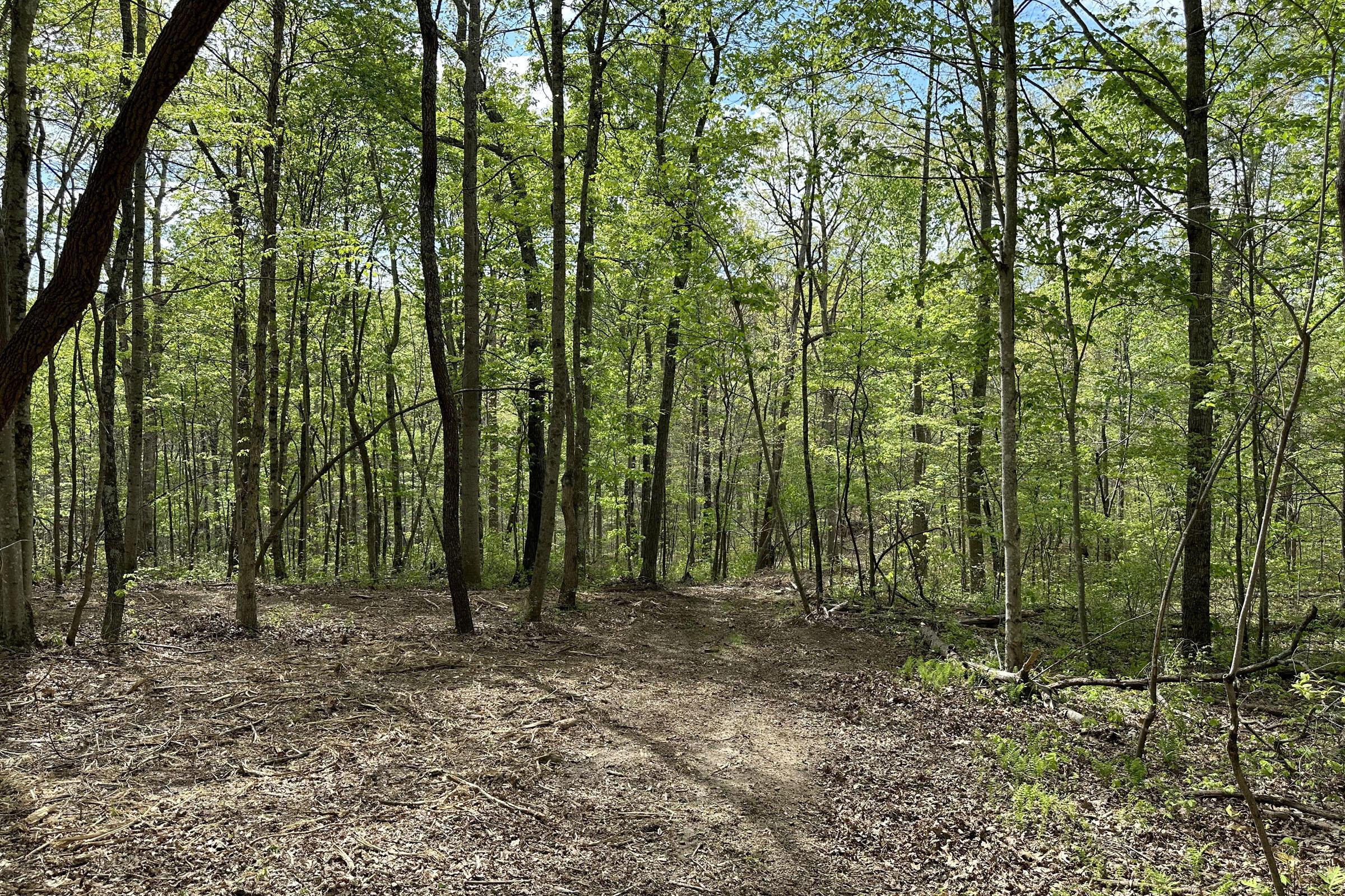 0 Harrison Road, Unit TRACT 7) Jackson, OH 45640 - Photo 51 of 91 20230506_195514833_iOS