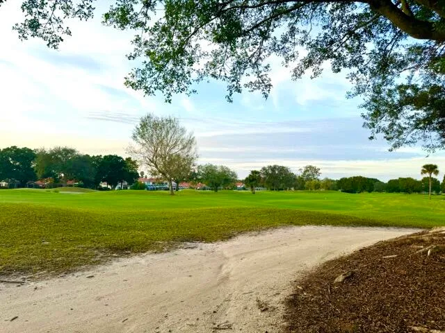 a view of a park and trees